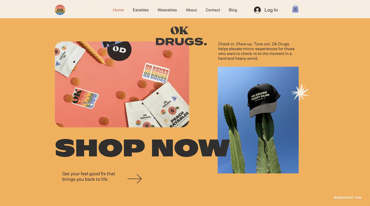 OK Drugs Wix Websites Examples Screenshot
